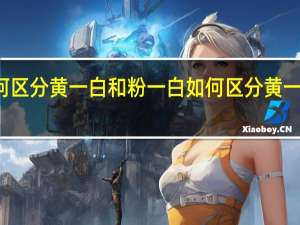 如何区分黄一白和粉一白 如何区分黄一白黄二白