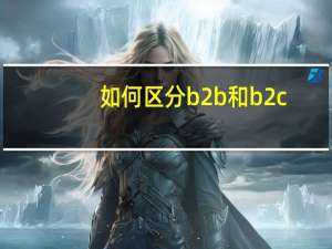 如何区分b2b和b2c
