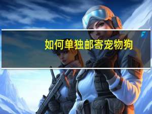 如何单独邮寄宠物狗
