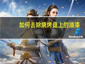 如何去除烧烤盘上的油漆