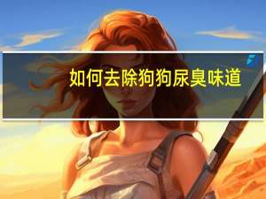 如何去除狗狗尿臭味道