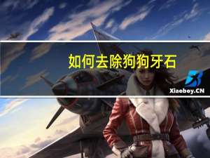 如何去除狗狗牙石