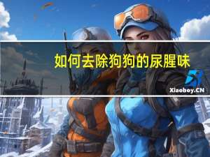 如何去除狗狗的尿腥味