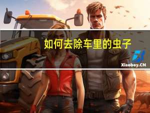 如何去除车里的虫子