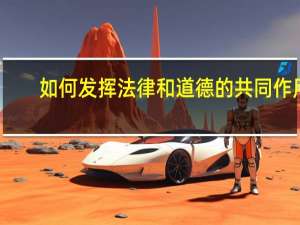 如何发挥法律和道德的共同作用