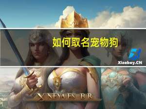 如何取名宠物狗