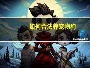 如何合法养宠物狗
