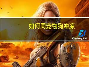 如何同宠物狗冲凉