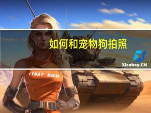 如何和宠物狗拍照