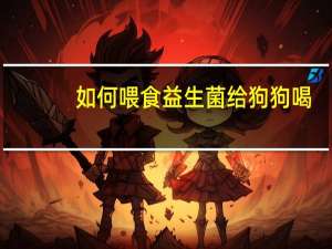 如何喂食益生菌给狗狗喝