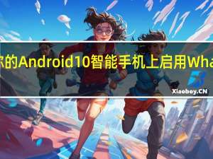 如何在你的Android 10智能手机上启用WhatsApp暗模式