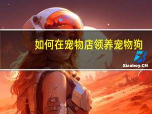 如何在宠物店领养宠物狗