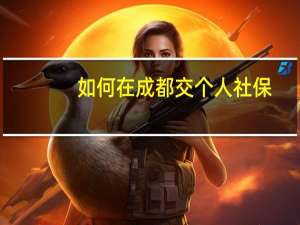 如何在成都交个人社保
