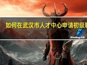 如何在武汉市人才中心申请初级职称？