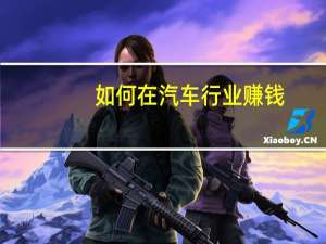 如何在汽车行业赚钱