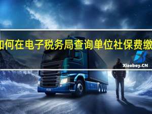 如何在电子税务局查询单位社保费缴费信息