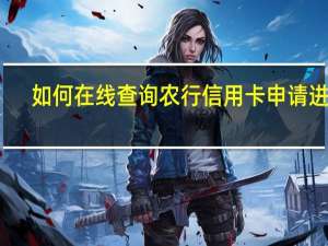 如何在线查询农行信用卡申请进度（若显示通过代表什么）
