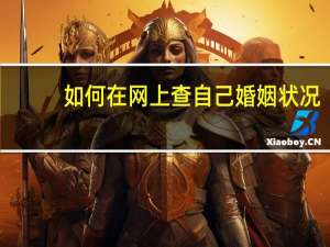 如何在网上查自己婚姻状况