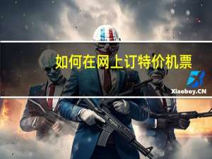 如何在网上订特价机票