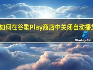 如何在谷歌Play商店中关闭自动播放视频
