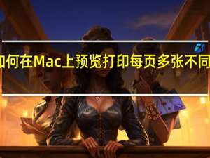 如何在Mac上预览打印每页多张不同的图像