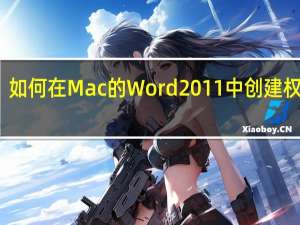 如何在Mac的Word 2011中创建权限表