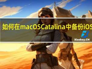 如何在macOS Catalina中备份iOS设备