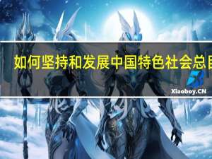 如何坚持和发展中国特色社会总目标