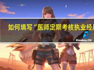 如何填写“医师定期考核执业经历”