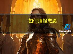 如何填报志愿，捡最大的漏