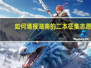 如何填报湖南的二本征集志愿