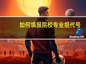 如何填报院校专业组代号