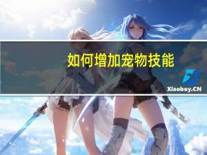 如何增加宠物技能