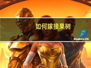 如何嫁接果树：不同品种果树采用不同嫁接法