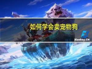 如何学会卖宠物狗