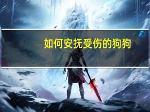 如何安抚受伤的狗狗