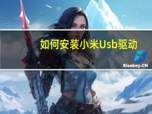 如何安装小米Usb驱动