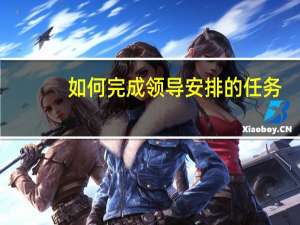 如何完成领导安排的任务