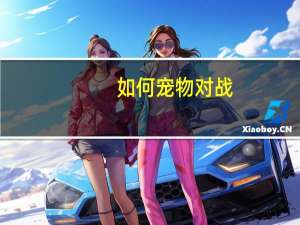如何宠物对战