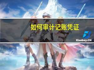 如何审计记账凭证