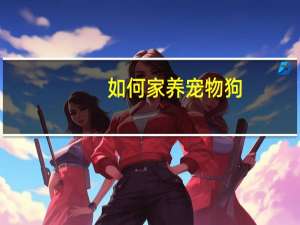 如何家养宠物狗