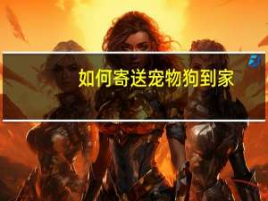 如何寄送宠物狗到家
