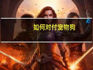如何对付宠物狗