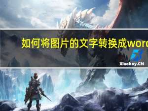 如何将图片的文字转换成word（怎么把图片文字转换成word文字）