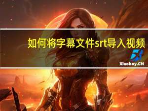 如何将字幕文件srt导入视频？