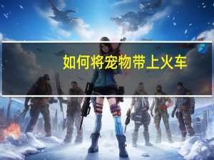 如何将宠物带上火车