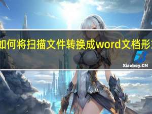 如何将扫描文件转换成word文档形式上传