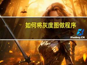 如何将灰度图做程序