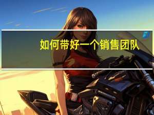 如何带好一个销售团队