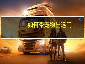 如何带宠物出远门